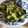 快くん's cooksnap of when they made 胡麻たっぷり　おくらの胡麻和え.