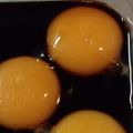 おおりんりん♪'s cooksnap of when they made 【肴】卵黄の醤油漬け.