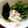 ユーロン's cooksnap of when they made 季節の野菜をなんでもお漬物にしちゃおぅ～.