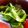 ユーロン's cooksnap of when they made 簡単！ピーマン炒め.