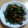 かよてん's cooksnap of when they made 豚とピーマンの炒めもの.
