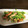 みきてぃーす's cooksnap of when they made 3分で作れる！豆苗のニンニク炒め.