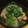ゆみつぺ's cooksnap of when they made 簡単!大根と鶏の煮物.