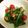 お米粒88's cooksnap of when they made トマトと水菜のイタリアンサラダ.
