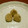 tom0099's cooksnap of when they made くりきんとん.