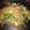 カニーヘン's cooksnap of when they made ダイエットな白滝焼きそば✿.