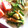 kana421's cooksnap of when they made お弁当に♪ちくわのカレー＆チーズマヨ.