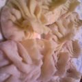 komomo2_2's cooksnap of when they made 肉汁でやけどに注意その2♪我が家の小龍包.