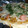 ひとみn♪'s cooksnap of when they made 簡単❤️美味しいピザ生地.
