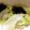 やん＠時短研究中's cooksnap of when they made 簡単！レタスの韓国風サラダ♪.
