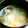 ２番目のこぶた's cooksnap of when they made 塩鮭と白菜の中華スープ.