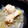 ネネムム's cooksnap of when they made ストウブ16♥︎手羽元の旨蒸し煮.