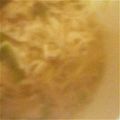 熊五郎☆'s cooksnap of when they made 糸こんとえのきのピリ辛炒め.