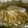 liutan's cooksnap of when they made 鮭ときのこのごま油ホイル焼き.