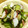 プリヲ's cooksnap of when they made たことワカメの酢の物.