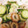 ☆未鏡☆'s cooksnap of when they made きゅうりとちくわの香り酢の物.