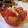 PARNELL's cooksnap of when they made 爽やか♪トマトの甘酢漬け.