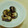 クック814G40☆'s cooksnap of when they made 残ったさんまで♪　秋刀魚の甘辛煮.