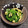 umaneko♫'s cooksnap of when they made 小松菜の油炒め.