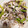 aki123aki's cooksnap of when they made イカとアスパラの炒めもの.