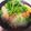 なおぴこちゅう's cooksnap of when they made 春雨サラダ☆ヤムウンセン（タイ料理）.