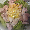 ΦωΦパニーニ☆'s cooksnap of when they made ルクエで蒸し鶏の葱たっぷりソース.