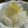 Cookingmam's cooksnap of when they made ☆風邪予防にも☆かぶのゆず甘酢漬け☆.