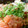 agak's cooksnap of when they made 簡単10分！サーモンと納豆のサッパリ和え.