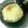 さーびぃ's cooksnap of when they made ぼっちゃんかぼちゃのまるごとグラタン.
