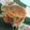 ショコランラン♪'s cooksnap of when they made 柿の天ぷら.