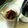 bakuko0131's cooksnap of when they made にんにく醤油.