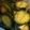Flower1123's cooksnap of when they made 夏限定！きゅうりのナムル.