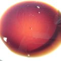 umizora's cooksnap of when they made 焼き鳥のたれ.
