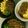 クック4758XG☆'s cooksnap of when they made そぼろ丼.