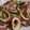 タキシード犬's cooksnap of when they made 簡単！！イカと豆腐のバターじょうゆ炒め.