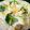 ちゃぶたろー's cooksnap of when they made ツナキャベツクリームパスタ.