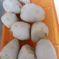 はにーぷー's cooksnap of when they made ＊ルクエを活用！里芋の皮むき＊.