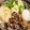 103クロミ's cooksnap of when they made 妖怪ウォッチ ウィスパー鍋.