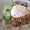 ザネッティー's cooksnap of when they made 納豆マヨで、温玉冷やしサラダそば！.