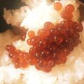 RYK1205's cooksnap of when they made ［皮がかたくならない］いくらの醤油漬け.