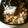 かすてら１２'s cooksnap of when they made 鮭フレークにしましょ♪.