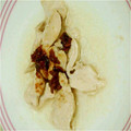 柚子芽's cooksnap of when they made ささみの酒蒸し　梅肉だれ.