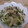 guantalo's cooksnap of when they made 柚子胡椒香るキュウリとえのきの和え物.