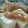 みっくママ's cooksnap of when they made とろ〜りあんかけ豆腐.
