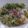 スタイリッシュママ's cooksnap of when they made しらすと香味野菜たっぷりのっけサラダ素麺.