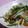 にゃぁくん's cooksnap of when they made もやしのオイスターソース炒め.