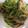 早絵香's cooksnap of when they made しめじと豆苗のマヨ炒め♪.