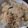 ささらんらん's cooksnap of when they made 炊き込みご飯.