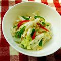 ｍａｒしゃん's cooksnap of when they made 白菜のシャキシャキサラダ.