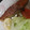 ｽｶｲﾌｨｯｼｭ☆'s cooksnap of when they made 生鮭(秋鮭)のムニエル.